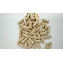 Immunity Booster Health Supplement Ganoderma Lucidum Spore Powder capsules